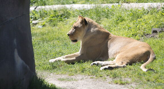 260523 Zoo 0429