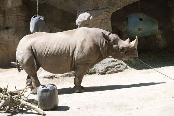 260523 Zoo 0489